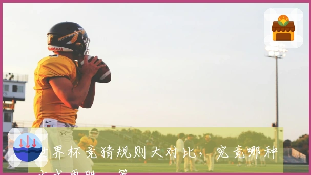 世界杯竞猜规则大对比，究竟哪种方式更胜一筹