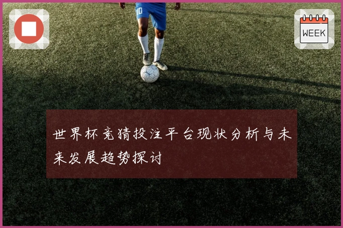 世界杯竞猜投注平台现状分析与未来发展趋势探讨