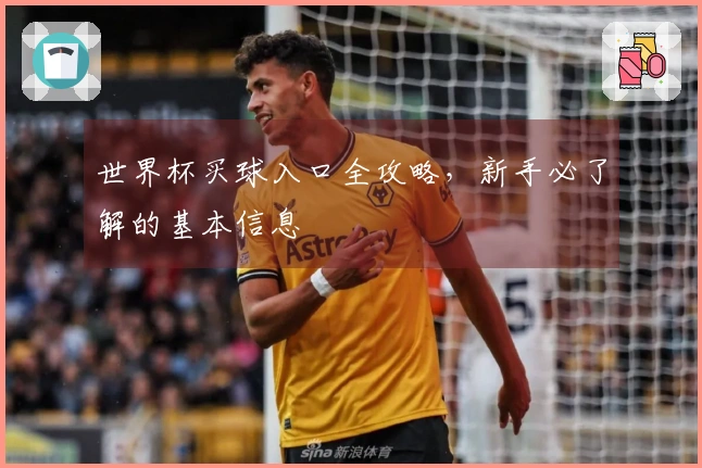 世界杯买球入口全攻略，新手必了解的基本信息
