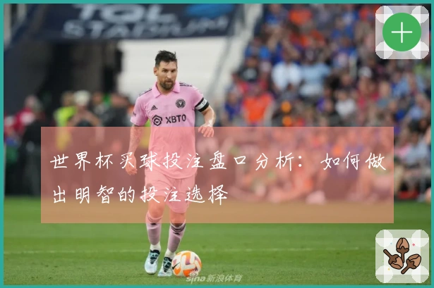 世界杯买球投注盘口分析：如何做出明智的投注选择
