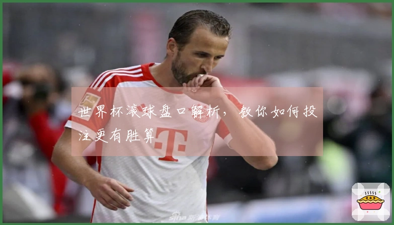 世界杯滚球盘口解析，教你如何投注更有胜算