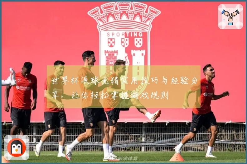 世界杯滚球竞猜实用技巧与经验分享，让你轻松掌握游戏规则
