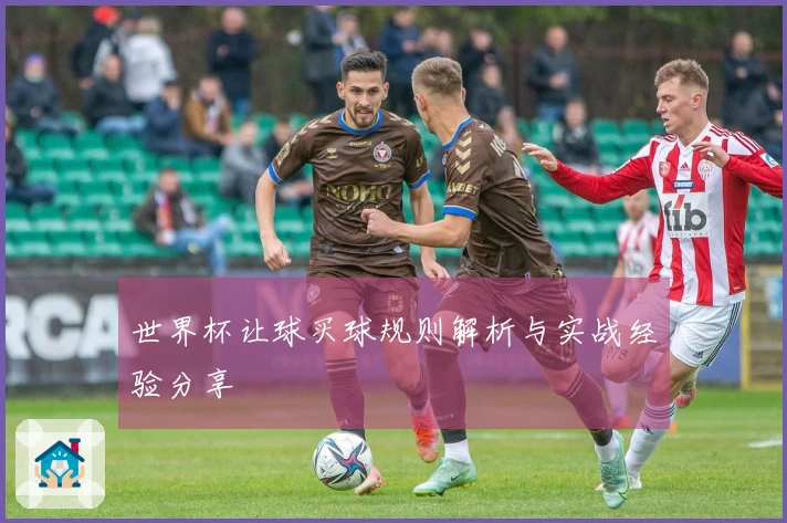 世界杯让球买球规则解析与实战经验分享
