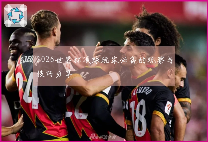 2026世界杯滚球玩家必备的观察与技巧分享