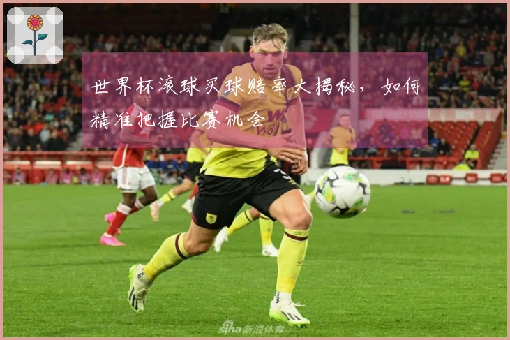 世界杯滚球买球赔率大揭秘，如何精准把握比赛机会