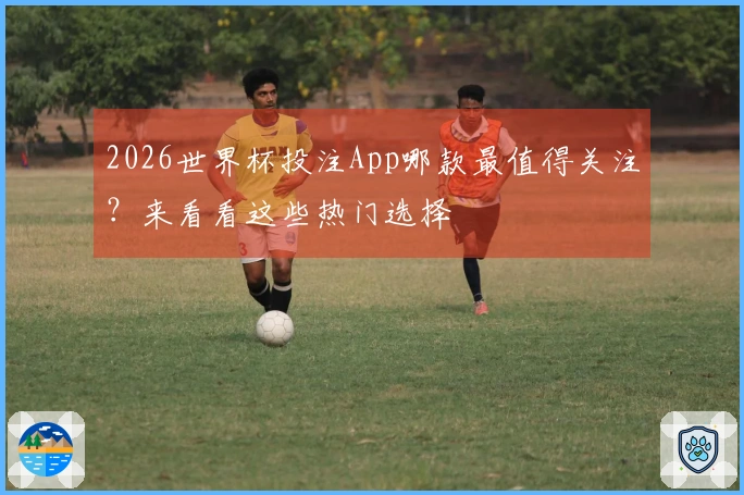 2026世界杯投注App哪款最值得关注？来看看这些热门选择