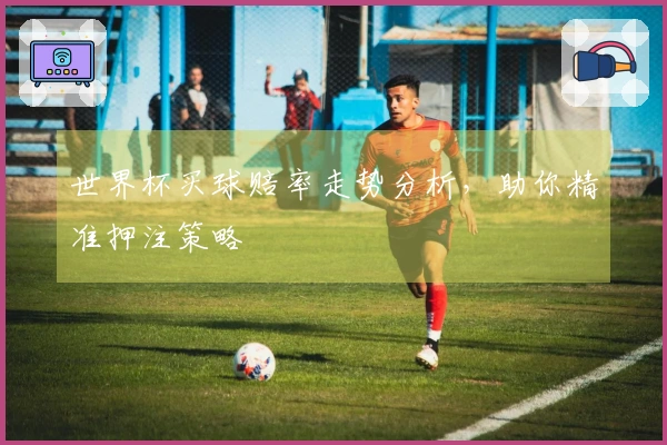 世界杯买球赔率走势分析，助你精准押注策略