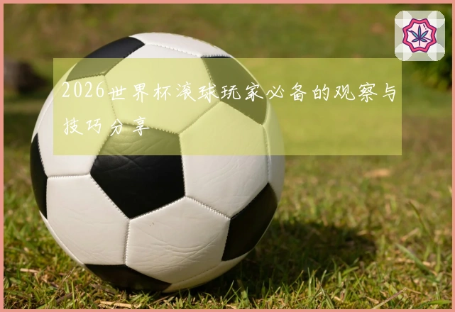 2026世界杯滚球玩家必备的观察与技巧分享