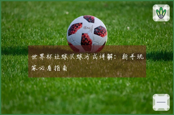 世界杯让球买球方式详解：新手玩家必看指南