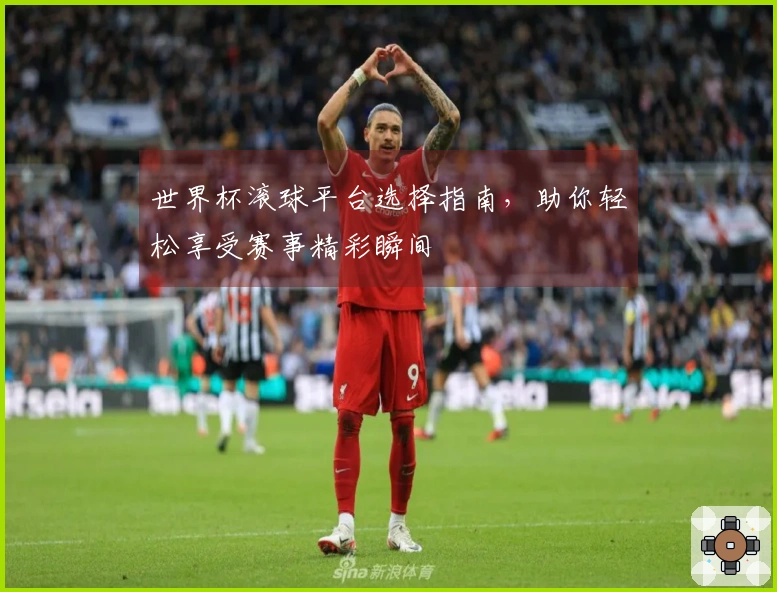 世界杯滚球平台选择指南，助你轻松享受赛事精彩瞬间