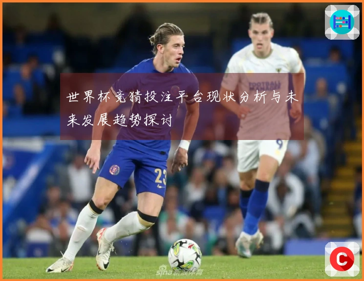 世界杯竞猜投注平台现状分析与未来发展趋势探讨