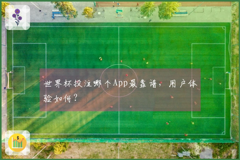 世界杯投注哪个App最靠谱，用户体验如何？